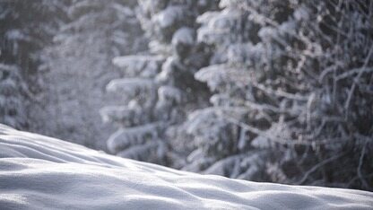 容器可观测新视角: SysOM 延时抖动监控助力定位业务抖动原因