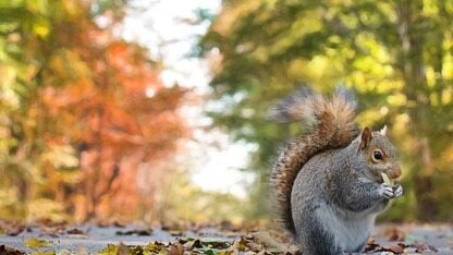 Cloudflare 公布 MCP 架构方案，应对企业面临的安全与治理风险