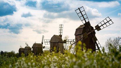 Web组件加载PDF时，如何禁止用户点击PDF中的某些链接？