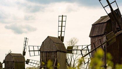 刚完成“卖身”重组,TikTok就瘫了!Oracle 背锅:暴风雪吹坏了数据中心