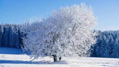 万亿级多模态大模型Yuan3.0 Ultra正式开源，加速企业级Agent落地