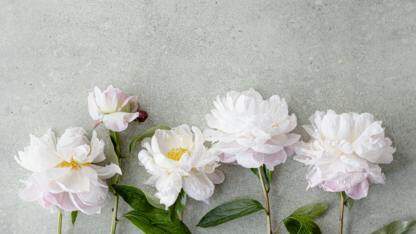 Sauce Labs推出可加速测试分析的AI工具