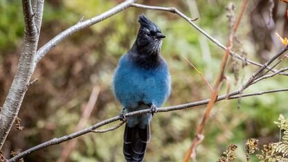 谷歌云推出面向分布式系统的混沌工程框架与实践指南