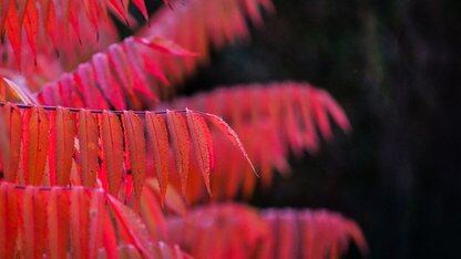 百度千帆深度研究Agent 两大设计确保准确性，最新登榜
&nbsp;