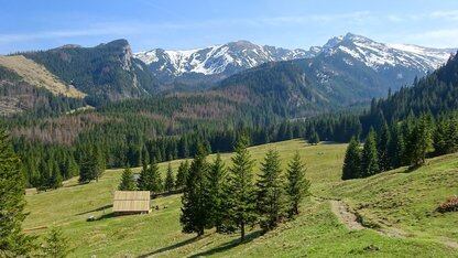 从 Vibe Coding 到 Architecture Coding:Toco AI 建模驱动 AI Coding 实践|QCon北京