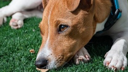 Cloudflare Sandboxes 正式发布，为 AI 代理提供持久化隔离环境