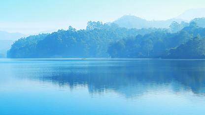 Safari 新增 scrollend 事件支持,补齐主流浏览器兼容版图