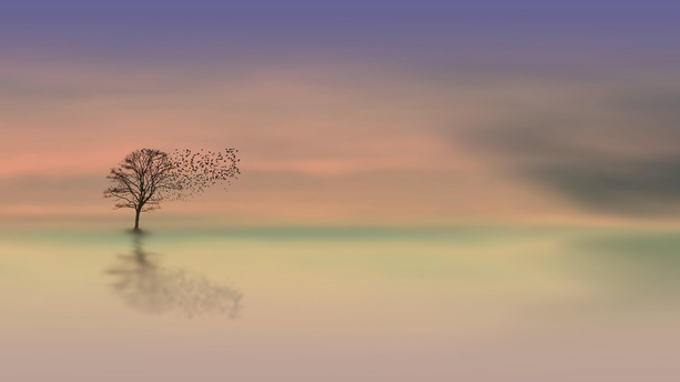 突破泛化瓶颈：阿里云智能运维 Agent 评测体系实践