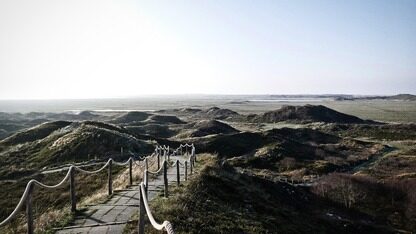 从点播到直播:Netflix在1分钟内向一亿台设备推送直播流