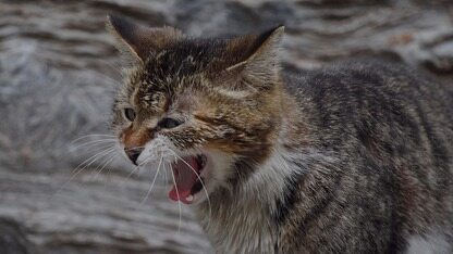 Facebook史上最严重宕机：互联网企业是时候重新审视架构了？