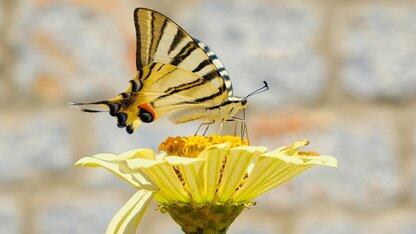 Anthropic为Claude Code添加了沙箱和Web访问功能,以实现更安全的AI驱动编码