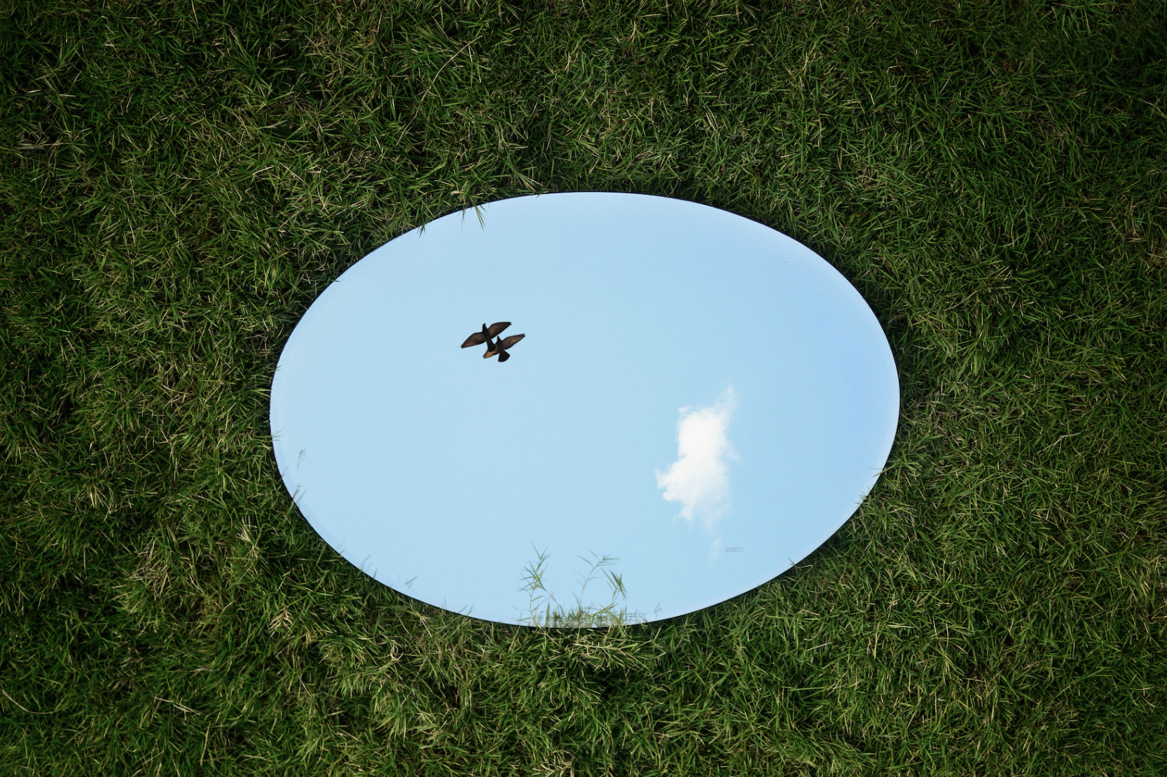 大厂CIO独家分享：AI如何重塑开发者未来十年