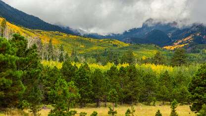 演示文生图时出现sleep代码，华为回应造假嫌疑；微软将中国AI团队集体打包到美国；百度ECharts创始人“下海”养鱼｜Q资讯