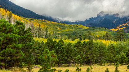 Talos Linux:为Kubernetes操作带来不可变性和安全性