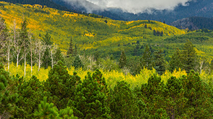 文化、代码与平台:打造高绩效团队