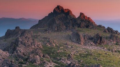 绿色 IT :如何减轻 AI 对环境的影响