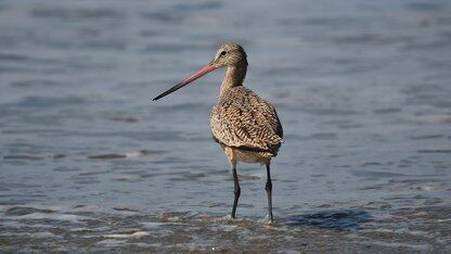 强制向开发者提AI建议再引公愤,GitHub:我知道你们很不满,但我不改