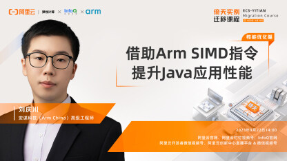 借助Arm SIMD指令提升Java应用性能
