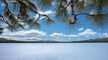 阿里旗舰模型Qwen3-Max-Thinking发布，刷新全球 SOTA 性能纪录！编程能力赶超Gemini 3 Pro、Claude-Opus-4.5