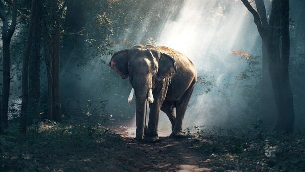 Construct 公司从 0 到 1 基于 Kitex+Istio 的微服务系统建设