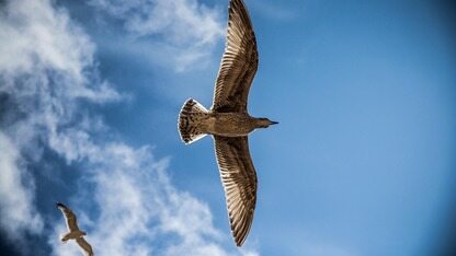 打造全球领先“具身智能超级供应链”，京东发布行业首个具身数据全链路基础设施