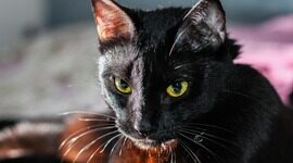 Amazon Timestream for InfluxDB新增对InfluxDB 3核心版和企业版的支持