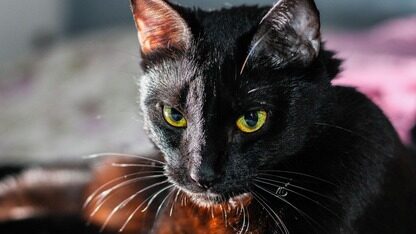 构建弹性平台:来自关键任务基础设施领域逾二十年经验的见解