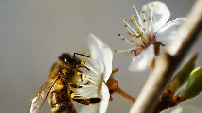 面向未来的HTSAP一体化数据平台该是什么样子?