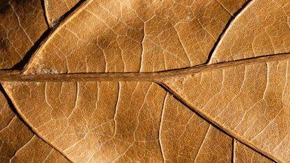 大模型每百天性能翻倍!清华团队“密度法则”登上 Nature 子刊