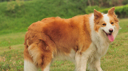 全新 – AWS OpsWorks for Puppet Enterprise