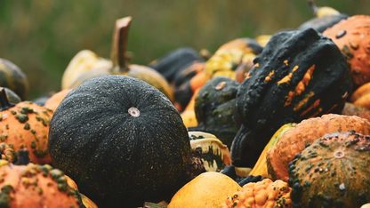 Vercel 开源 Bash 工具:基于本地文件系统的上下文检索