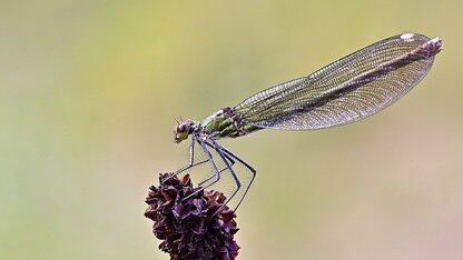 黑客利用一个漏洞攻击8次获利630 万美元，币安智能链被盯上了？