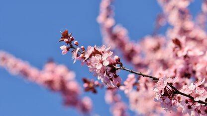 Grafana 利用 Kafka 对 Loki 进行了架构重构，并发布了一款命令行工具，旨在将可观测性引入编码代理