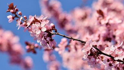 为 AI 智能体设计记忆机制：揭秘 LinkedIn 的认知记忆智能体