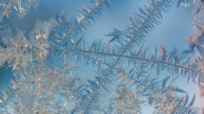 LinkedIn是如何用图神经网络扩充会员知识图谱的？