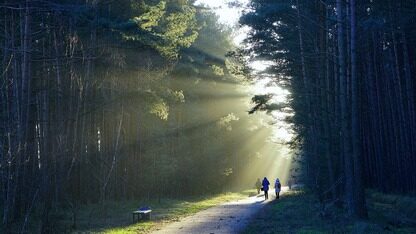 “答开发者问”之HarmonyOS技术问题解析 第2期