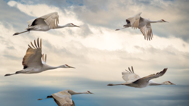 如何零宕机将2000个微服务从本地Kafka集群迁移至云托管多集群平台？