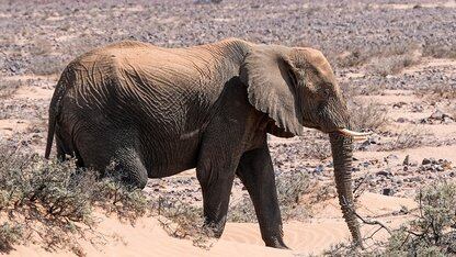 从 Demo 到规模落地：AIOps Agent 在复杂云原生场景下的研发范式与数据飞轮实践｜QCon北京