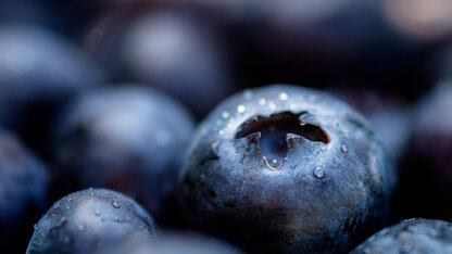 HashiCorp Vault 2.0 发布：引入新身份联邦机制，迈入 IBM 生命周期体系