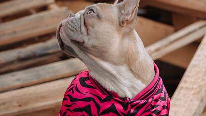 伊朗冲突致多座AWS数据中心受损,多可用区部署假设面临挑战