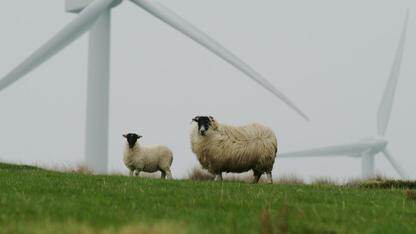 美国司法部修订法律,不再起诉白帽黑客善意行为