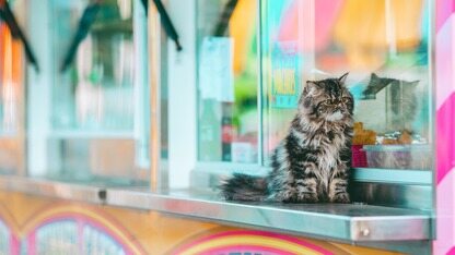 非营利组织上线首个“AI 失业补助”:每月发 1000 美元,持续 1 年