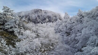 谷歌发布Angular 21：Signal Forms、Zoneless迁移和AI优先工具