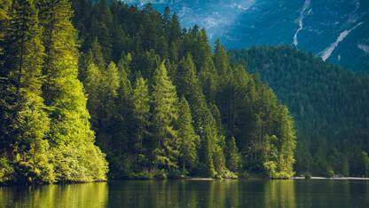 已有React&nbsp;Native工程如何适配HarmonyOS