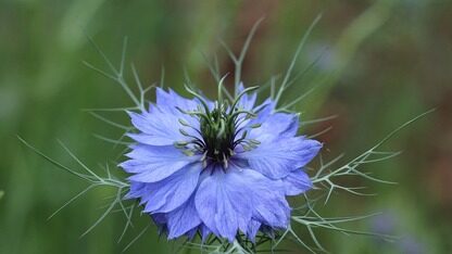 超越胜率：Spotify如何在产品实验中量化学习成果