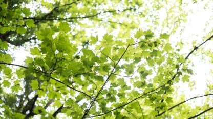 合规不是枷锁:平台团队如何让开发者主动拥抱治理