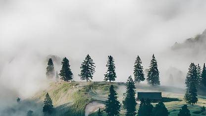 微软发布 Agent Framework 候选版本，简化 .NET 与 Python 智能体开发