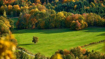 AI辅助开发系列专题:现实世界的模式、陷阱和生产就绪情况