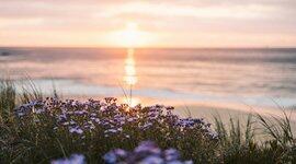 解读编程语言的2021：Go与Rust走向「成熟」，Kotlin、wasm、Julia「无限生长」