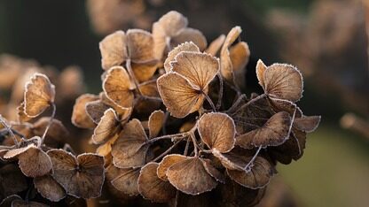 飞猪大模型算法专家罗超确认出席AICon北京,并分享LLM-Agent技术在对话场景的落地